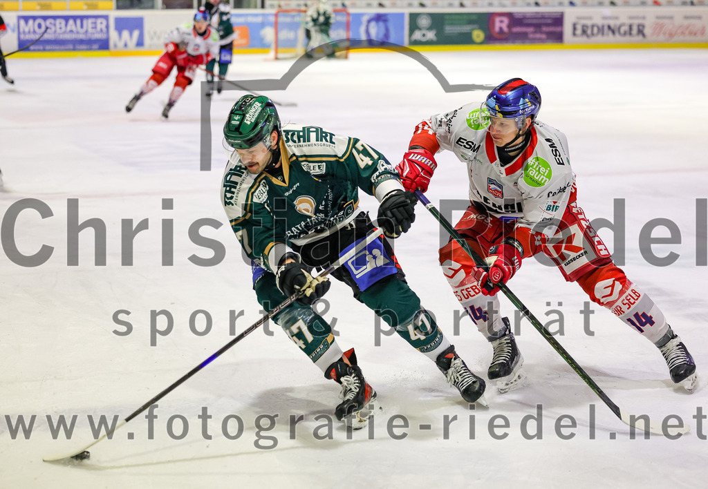 2026-01-18_142_TSV_Erding_gegen_Selber_Woelfe | Erding, Deutschland, 18.01.2026:Eishockey, Oberliga Süd 2025 / 2026, 38. Spieltag, TSV Erding gegen Selber Wölfe, Endergebnis: 2:3 n.V.Marco Pfleger (Erding Gladiators, #47), Erik Nemec (Selber Wölfe, #14)Foto: Christian Riedel / fotografie-riedel.net