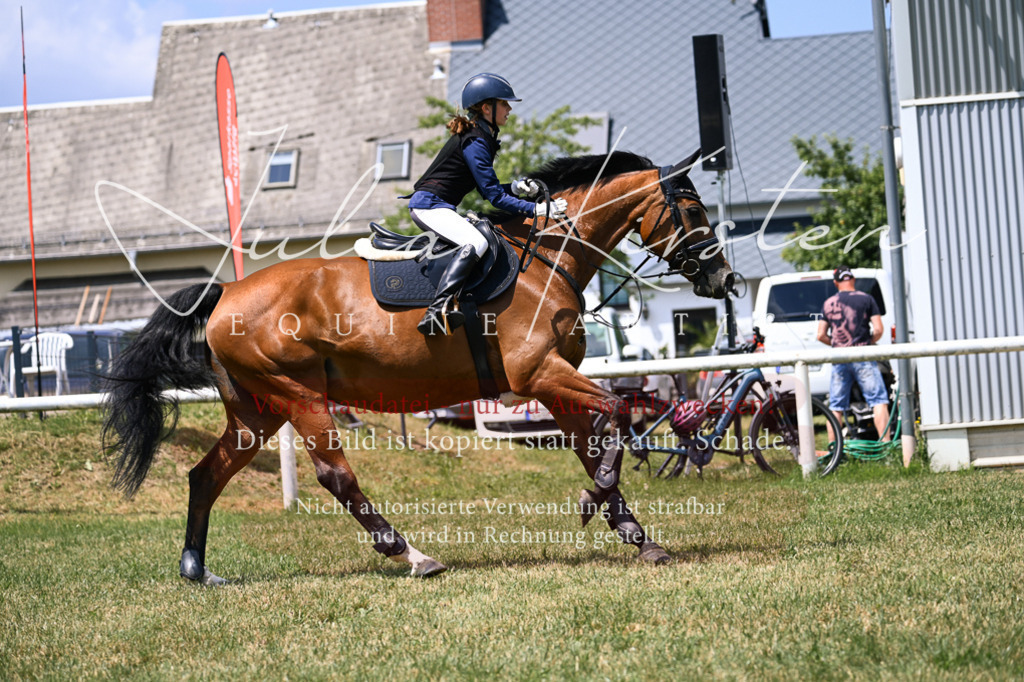 DSC_9329 | Pferde- und Turnierfotografie in Westsachsen. Pferdeportraits, Auftragszeichnungen und intuitive Kunst.