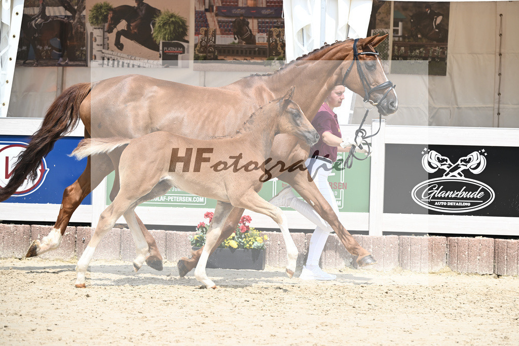 Don Olympic x Benetton Dream_HF_Groll_12250656 | hf-fotografie - Realisiert mit Pictrs.com