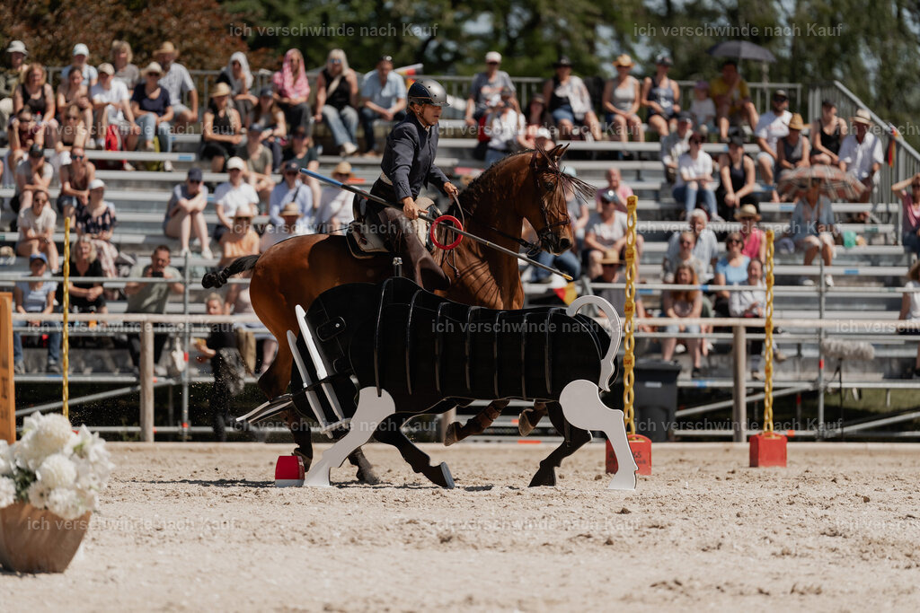 WE_SP_Stoib_313_PI2025_1771 | Pferd International München 2025