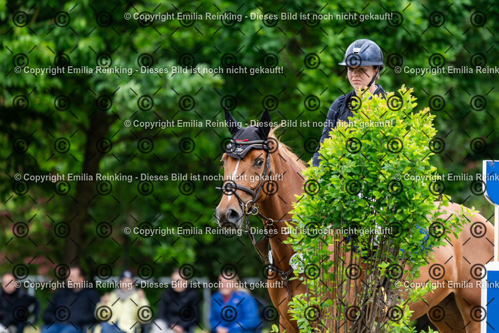 CL5A5381 | Emilia Reinking Fotografie - Realisiert mit Pictrs.com