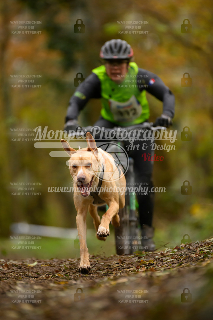MompixPhotography_Bischwiller24_SA_VTT-25 | PayLife