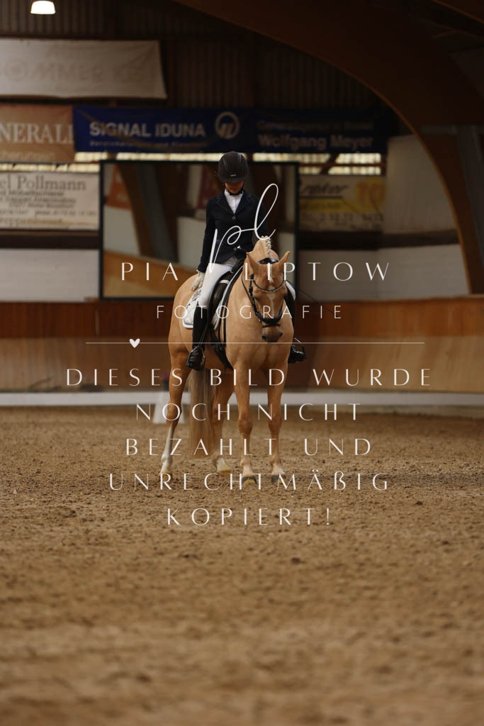 IMGM5241 | pl-fotografie