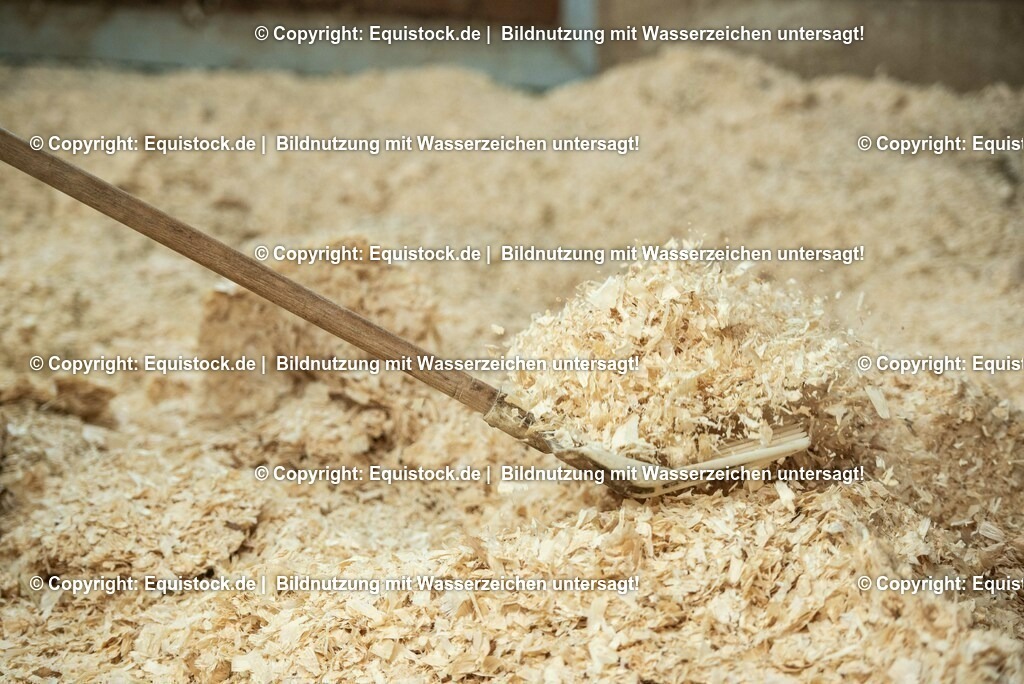 20190409_Einstreu_in_Pferdebox_0036 | Foto: Thomas Hartig