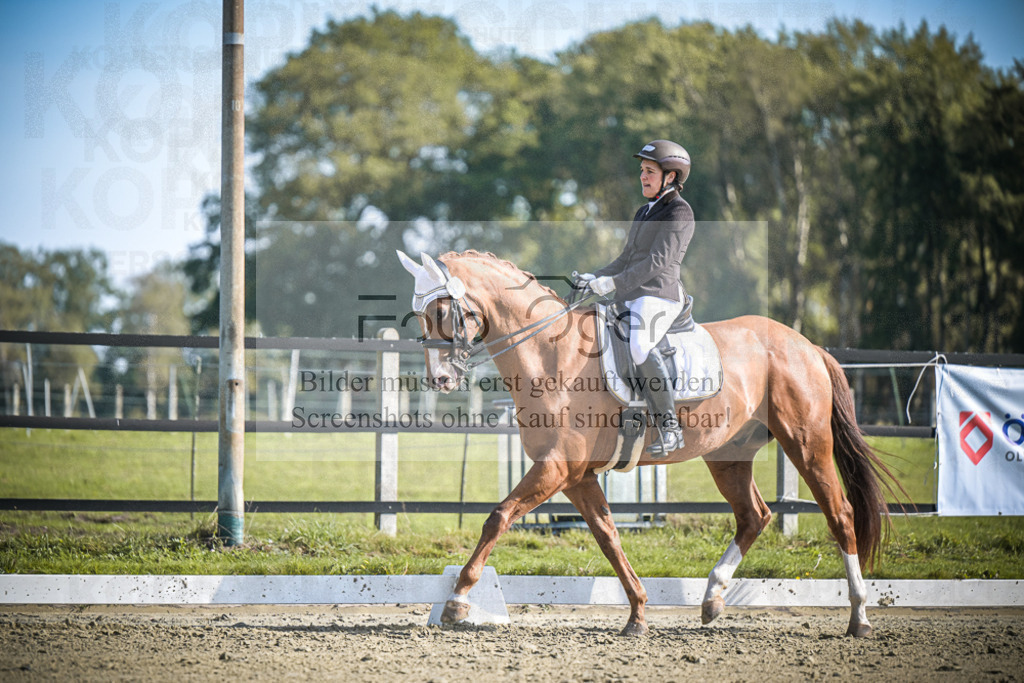 DOS_1546 | Entdecke hochwertige Reitturnierfotos von Foto Oger. Professionell, emotional und authentisch – jetzt Lieblingsmomente im Shop bestellen.Deutschlandweite Turnierfotografie. - Realisiert mit Pictrs.com