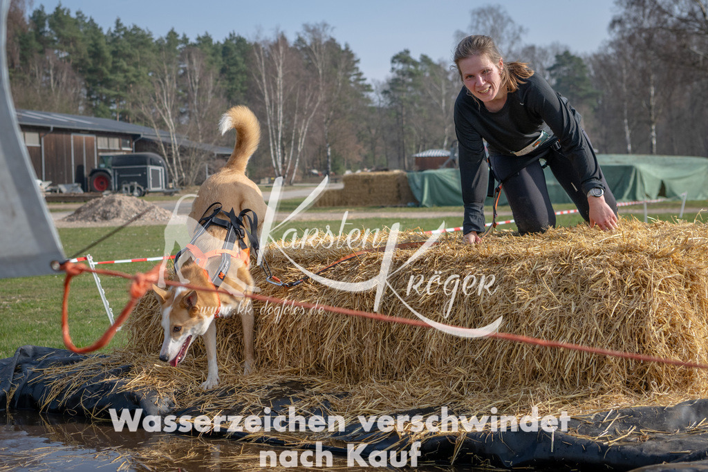 _ZZ92114 | kk-dogfotos