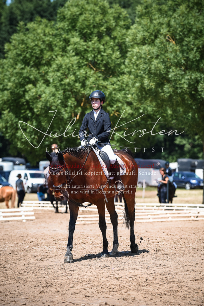 DSC_2765 | Pferde- und Turnierfotografie in Westsachsen. Pferdeportraits, Auftragszeichnungen und intuitive Kunst.