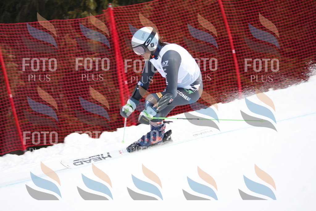 D6069 | holidayphoto