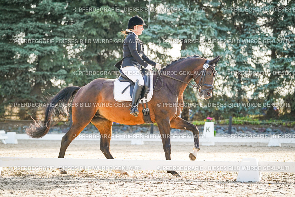 DSC08058 | Pferdegrafie