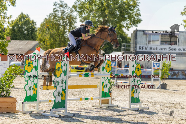 26-7-25 SPR M+-74 | mandyhollmannphotographie