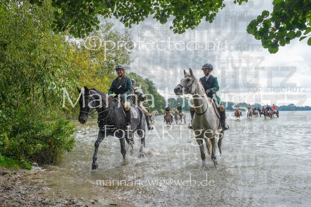 Jagd Perdoel_MarinaHewigDSCF3661 | Fotografie, FotoArt, PferdesportArt, Pferdesportfotografie, Landschaftsfotografie, Reisefotografie, Reise, Pferde - Realisiert mit Pictrs.com