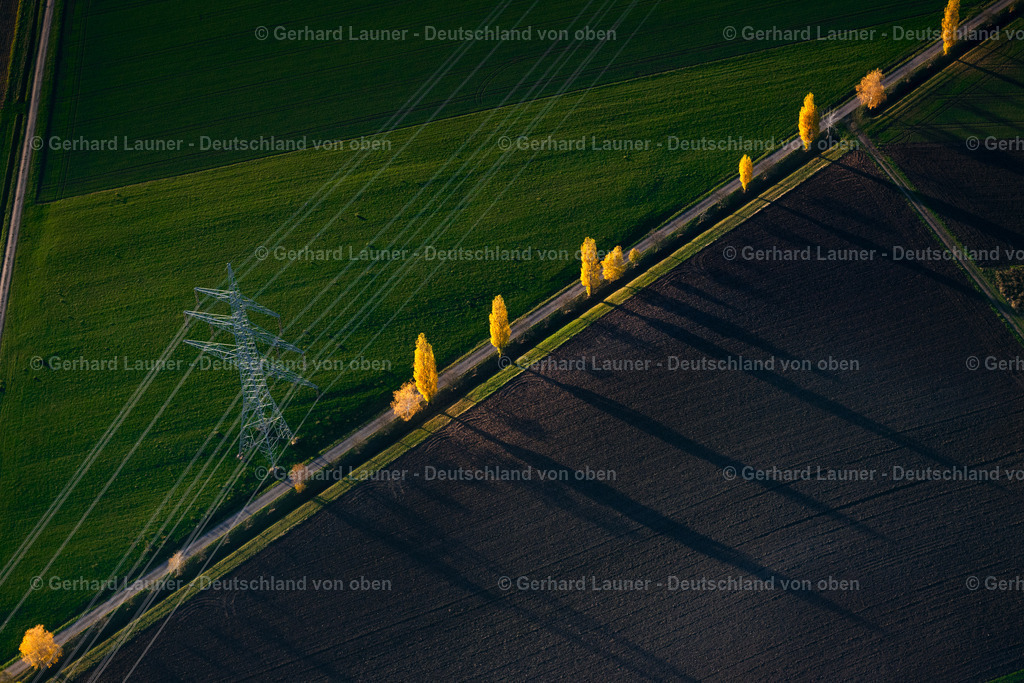 9200628 | Rüdenhausen 05.11.2020 Herbstliche verfärbte Vegetationsansicht Baum- Reihe unter Hochspannungsleitung auf einem Feld in Greuth im Bundesland Bayern, Deutschland. // Autumnal discolored vegetation view Row of trees under high voltage line on a field in Greuth in the state Bavaria, Germany. Foto: Gerhard Launer