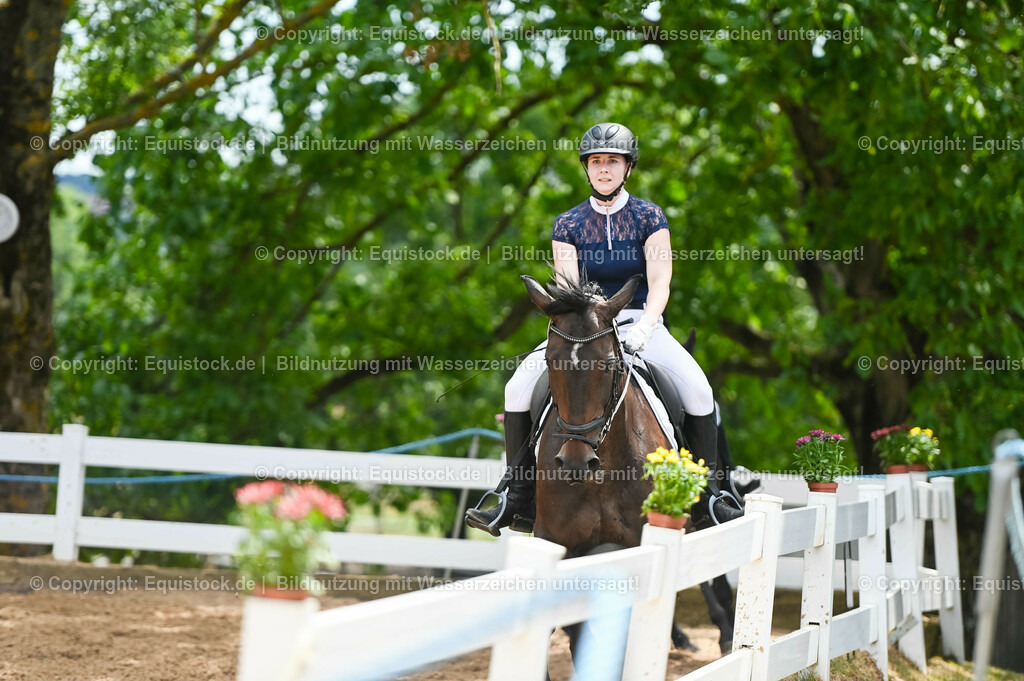 20230715_05_Dressurprüfung Kl.A++_0391 | equistock