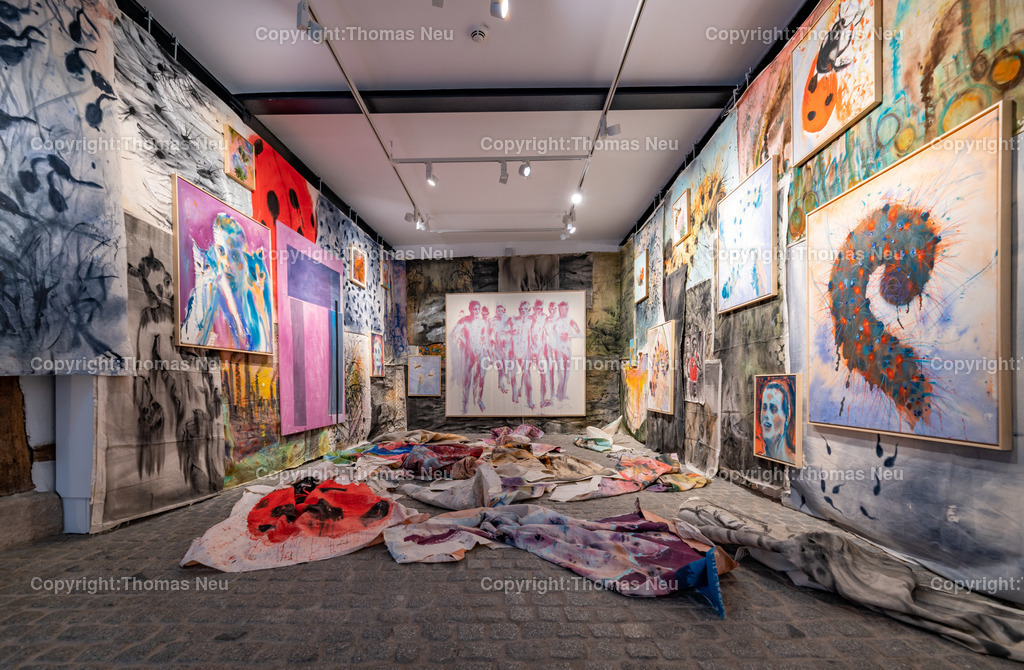 DSC_6042 | Bensheim, Museum der Stadt, Ausstellung „The last Party of Diversity“ im Museum Bensheim zeigt Werke des Künstlers Andrej Dúbravský, Bild: Thomas Neu