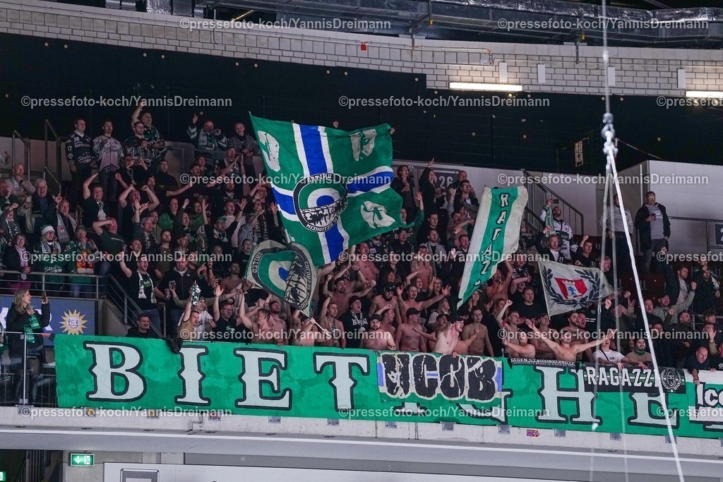 xYDRx12122501056 | 12.12.2025, xydrx, Eishockey, DEL2, Düsseldorfer EG - Bietigheim Steelers, PSD Bank Dome Düsseldorf: Fans der Bietigheim Steelers feiernPhoto: xYannisxDreimannxPressefotoKochx