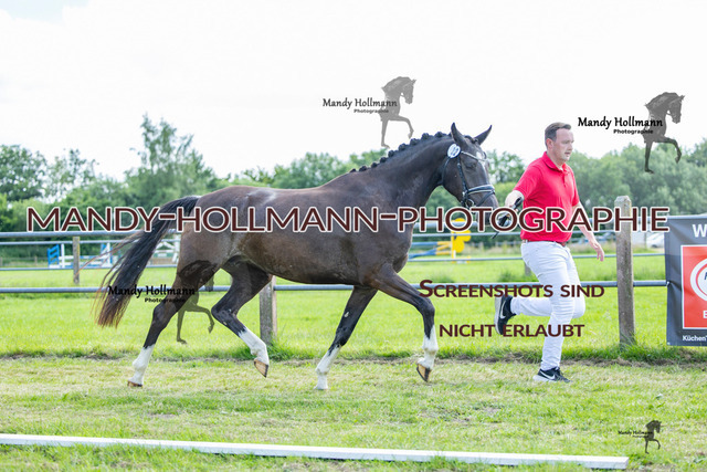 DR 4 (30 von 370) | mandyhollmannphotographie
