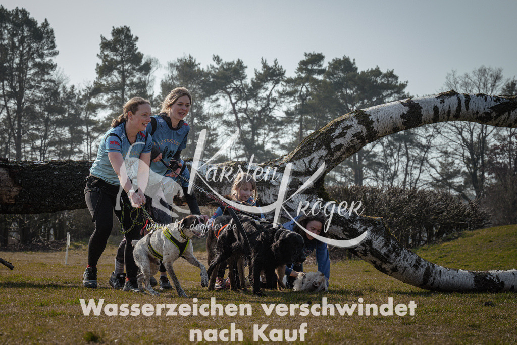 1109_ZZ94810 | kk-dogfotos