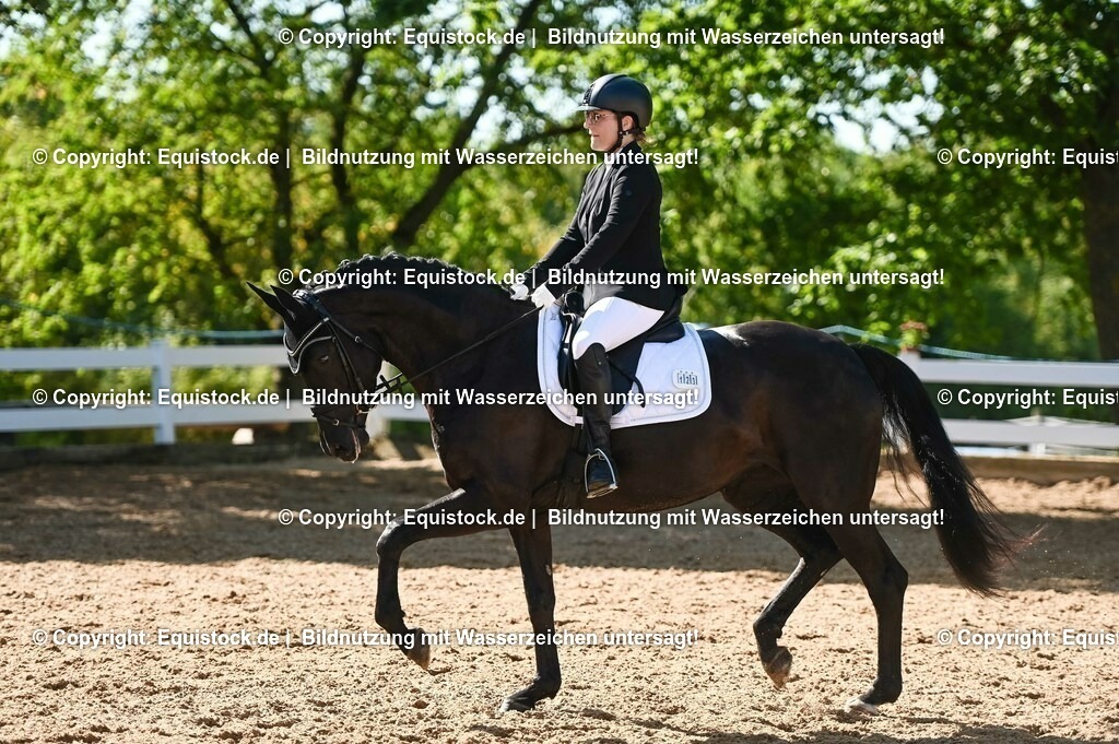 20230715_06_Dressurpferdeprfg. Kl.A_0340 | equistock