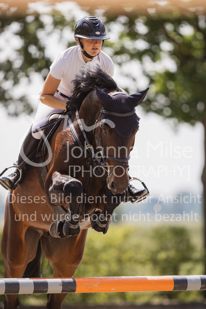 230616_Lemwerder_Springpf-L2-602 | Deine schönsten Turniermomente als professionelle Fotos! Entdecke hochwertige Pferdesport-Fotografie im Online-Shop. Jetzt Fotos finden & bestellen!