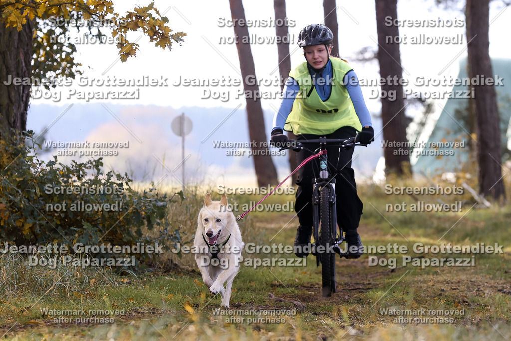 Dog Paparazzi - Elsholz 25 -160 | Dog Paparazzi Jeanette Grottendiek Fotografie & Videografie - Realisiert mit Pictrs.com