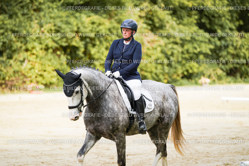 DSC01507 | Pferdegrafie