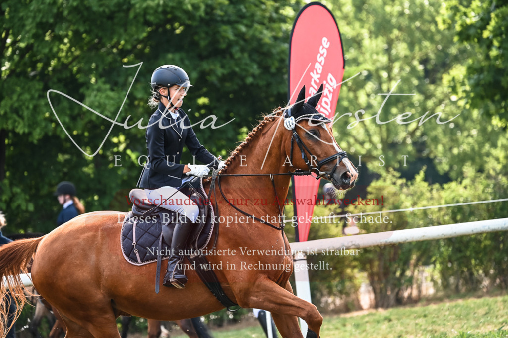 DSC_7954 | Pferde- und Turnierfotografie in Westsachsen. Pferdeportraits, Auftragszeichnungen und intuitive Kunst.