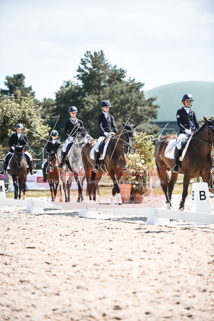 DSC_8773 | Pferde- und Turnierfotografie in Westsachsen. Pferdeportraits, Auftragszeichnungen und intuitive Kunst.
