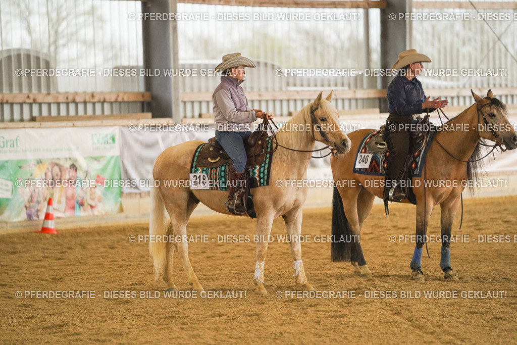 DSC09657 | Pferdegrafie