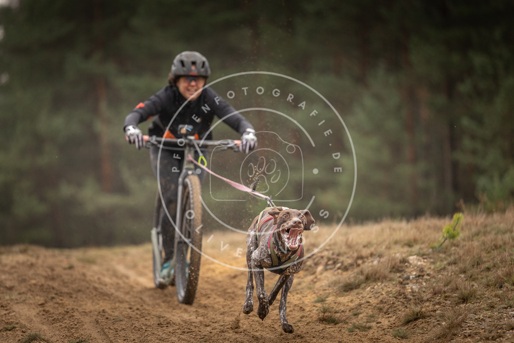 Pfotenfotografie_DV3A4661 | Hundefotografie, Tierfotograf, Pfotenfotografie, Fotoshooting Hund, Hunde Portrait, Hundesport, Hundeportraits, Heideshooting, Hunde, Sportfotograf, Hundefotograf, Turnierhundsport, THS,  - Realisiert mit Pictrs.com