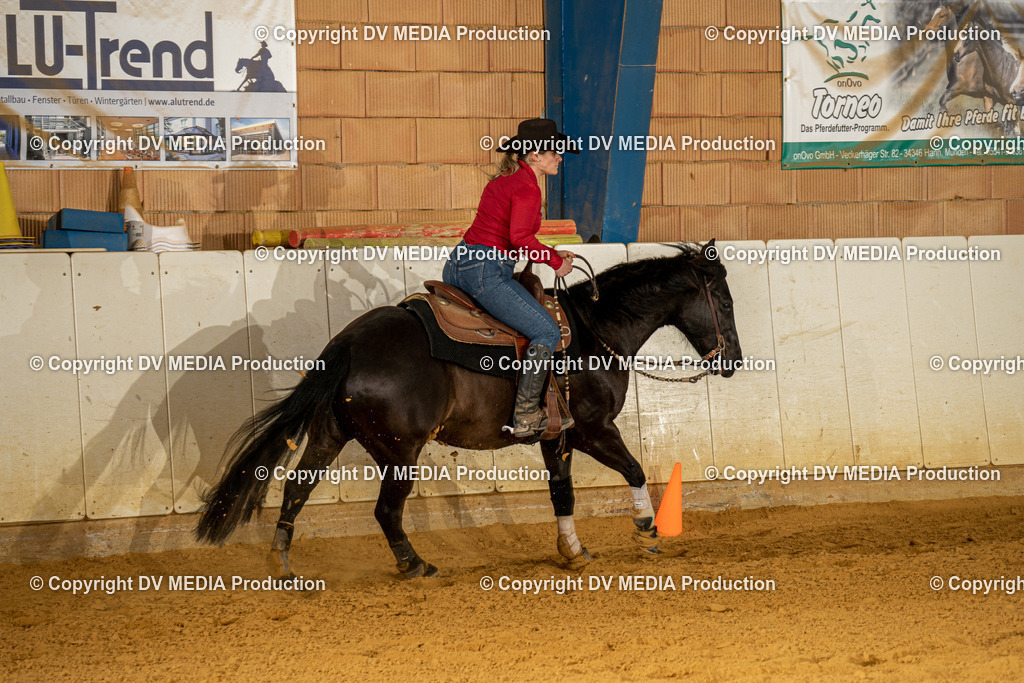 MIT01121 | dv-media-shop - Realisiert mit Pictrs.com