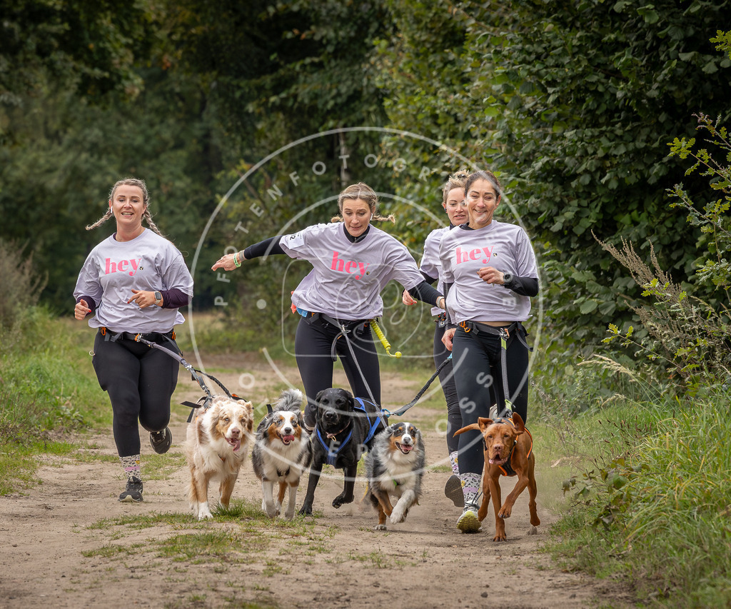 Pfotenfotografie_DV3A7103 | Hundefotografie, Tierfotograf, Pfotenfotografie, Fotoshooting Hund, Hunde Portrait, Hundesport, Hundeportraits, Heideshooting, Hunde, Sportfotograf, Hundefotograf, Turnierhundsport, THS,  - Realisiert mit Pictrs.com
