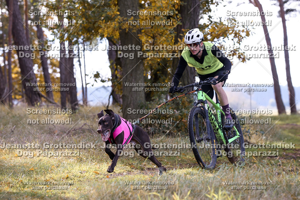 Dog Paparazzi - Elsholz 25 -137 | Dog Paparazzi Jeanette Grottendiek Fotografie & Videografie - Realisiert mit Pictrs.com