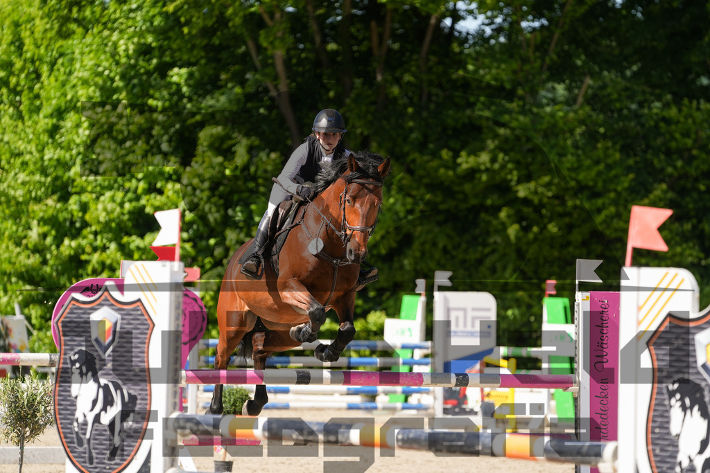 DSC02385 | Julian Held Fotografie - Realisiert mit Pictrs.com