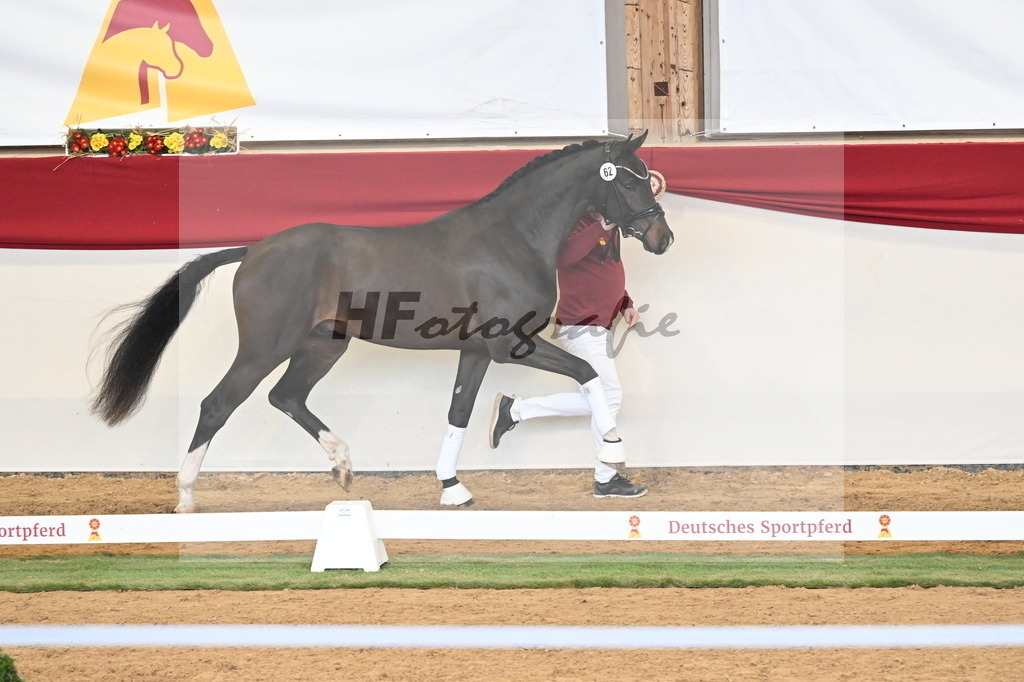 Kat.-Nr. 62 v. Franklin_Stockbrink_3260729 | hf-fotografie - Realisiert mit Pictrs.com