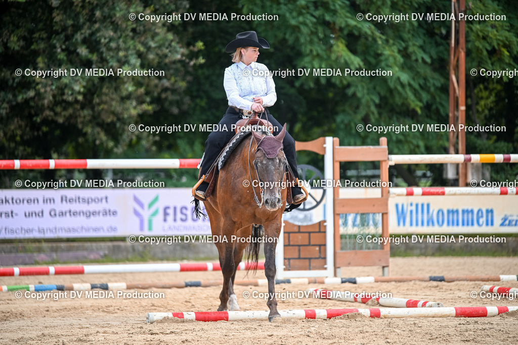 ZS1_3387 | dv-media-shop - Realisiert mit Pictrs.com