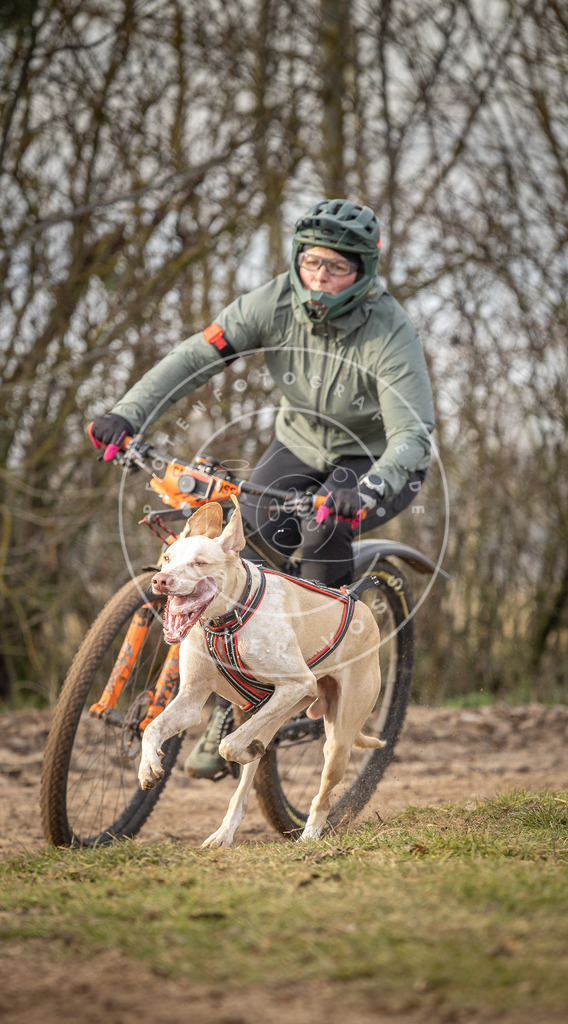 Pfotenfotografie_DV3A7687 | Hundefotografie, Tierfotograf, Pfotenfotografie, Fotoshooting Hund, Hunde Portrait, Hundesport, Hundeportraits, Heideshooting, Hunde, Sportfotograf, Hundefotograf, Turnierhundsport, THS,  - Realisiert mit Pictrs.com