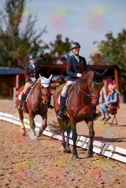 2026_10_03_Siefer-Hof_130038_Z81_51557296 | Professionelle Reitsport-, Turnier- und Eventfotografie von Robert Broda. Galerien mit ausgewählten und bearbeiteten Bildern direkt online ansehen und bestellen.