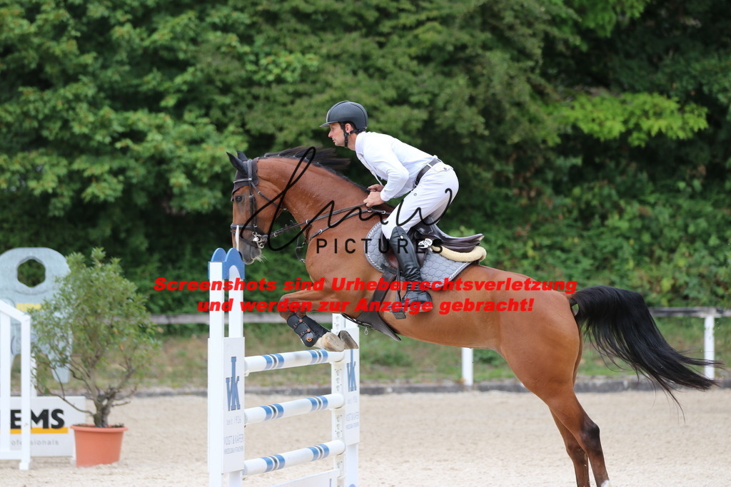 IMG_2288 | lmwpictures - Realisiert mit Pictrs.com