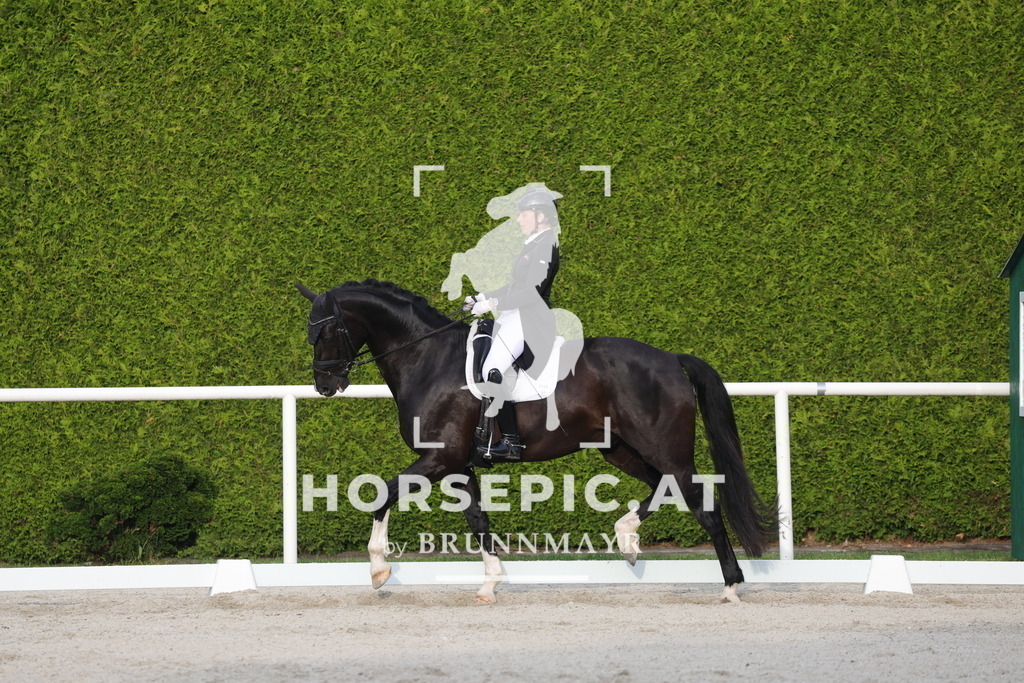 0P6A4432 | Willkommen bei Brunnmayr - Design & Fotografie – Ihrem Spezialisten für Reitturniere und Pferdeveranstaltungen in Oberösterreich, Salzburg und Bayern! Seit über 17 Jahren sind wir leidenschaftlich dabei.