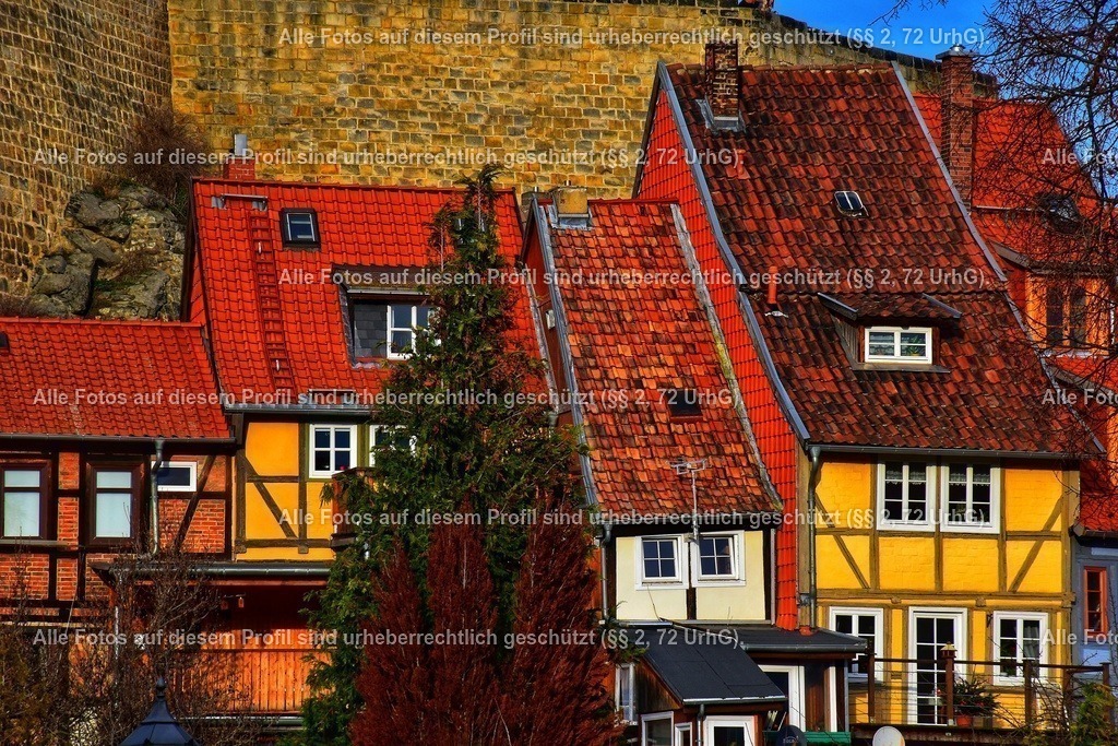 DSC_0087-01-01 | krollfotografie - Realisiert mit Pictrs.com