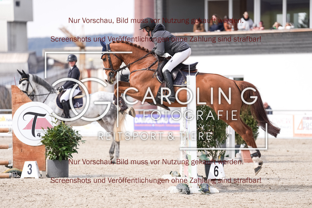 DSC05851 | Late_entry_Springturnier_Bad_Wurzach, Kathrine_Wingerter, Romeo_B5