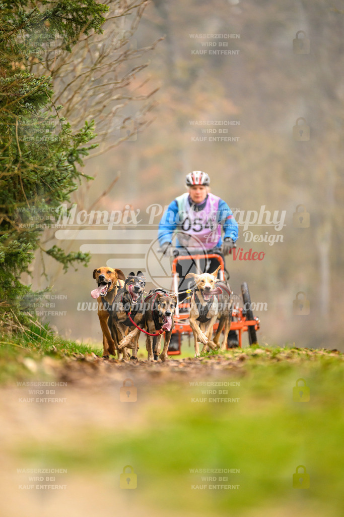 MompixPhotography_Schwabentrail2024_Tour-37 | mompixphotography