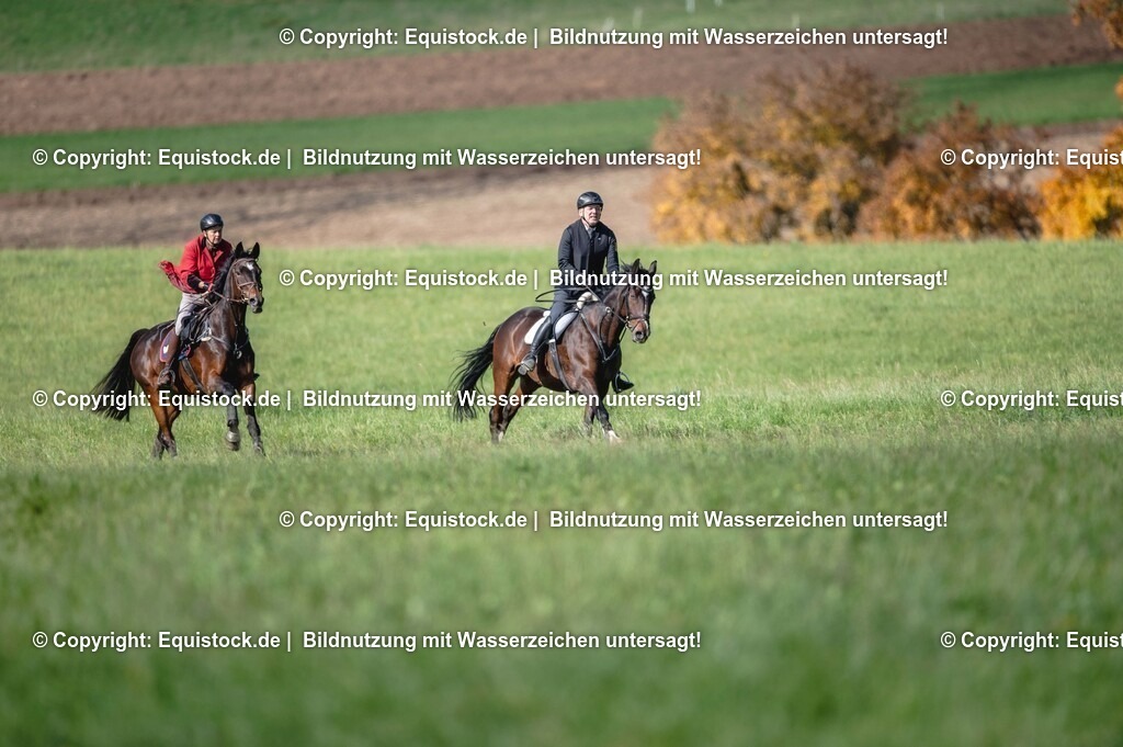 20251011_Jagd-Marbach_0199 | Foto: Thomas Hartig