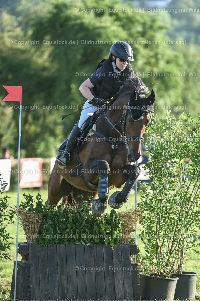 20230909_20_Leonberger-Derby_0090 | Foto: Thomas Hartig