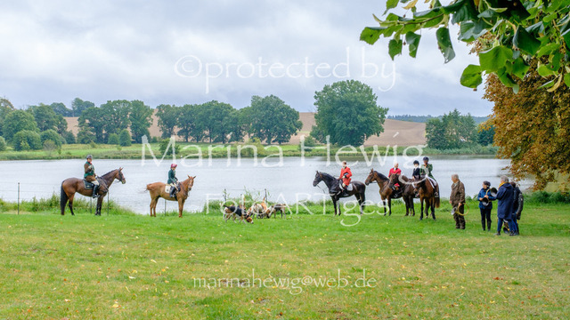Jagd Kletkamp 26-9611_MarinaHewig | Fotografie, FotoArt, PferdesportArt, Pferdesportfotografie, Landschaftsfotografie, Reisefotografie, Reise, Pferde - Realisiert mit Pictrs.com