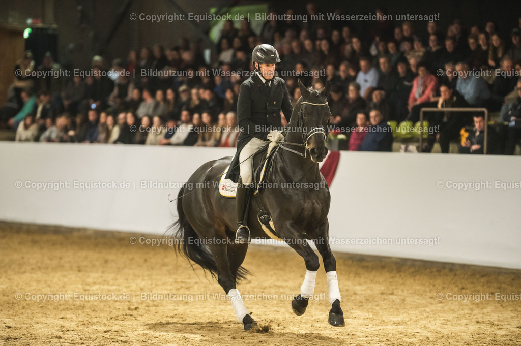 20240302_Hengstvorstellung_Marbach_TOMsPiC_1445 | equistock