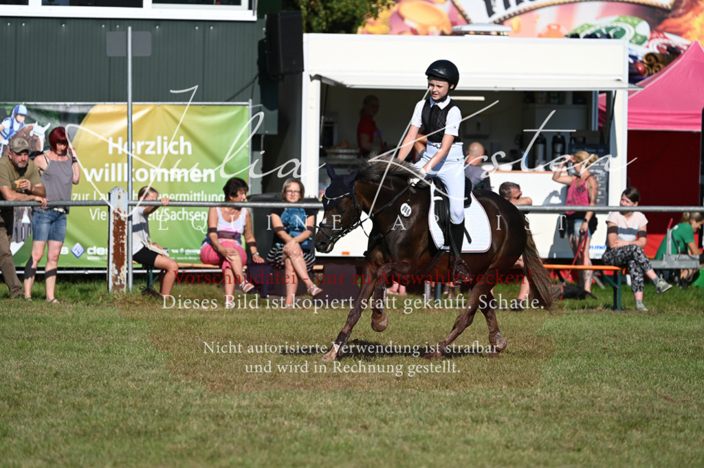 DSC_5024 | Pferde- und Turnierfotografie in Westsachsen. Pferdeportraits, Auftragszeichnungen und intuitive Kunst.