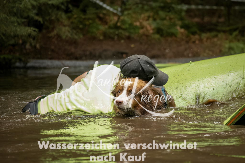 1231_ZZ90111-Bearbeitet | kk-dogfotos