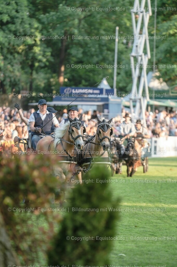 20230526_Pferdenacht_0156 | equistock