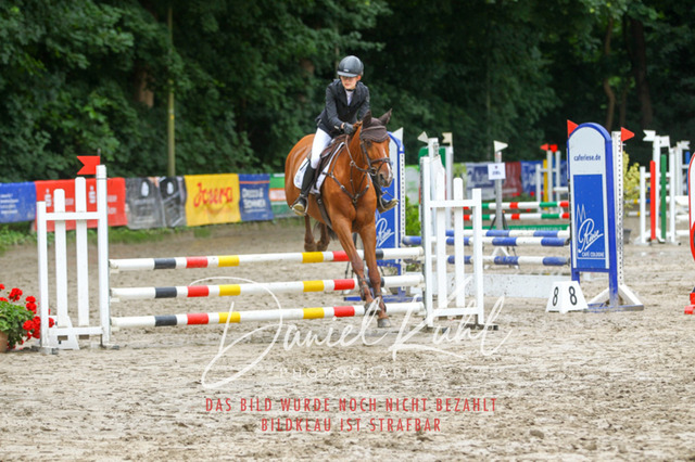 DKP44801 | Turniersportfotografie; Pferdefotografie; Dressurfotografie